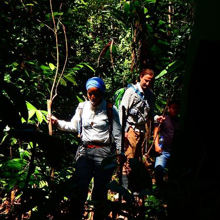 Amazon Acai Lodge Leticia Ngoại thất bức ảnh