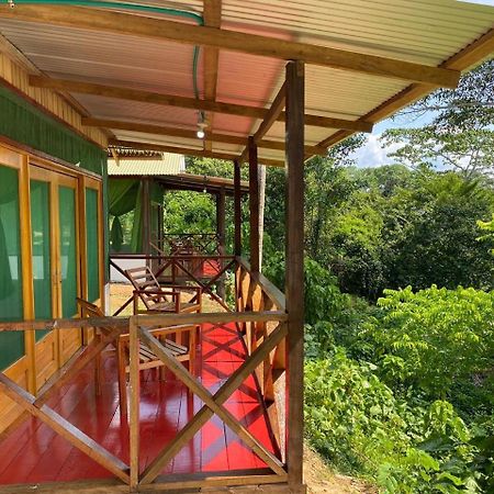 Amazon Acai Lodge Leticia Ngoại thất bức ảnh