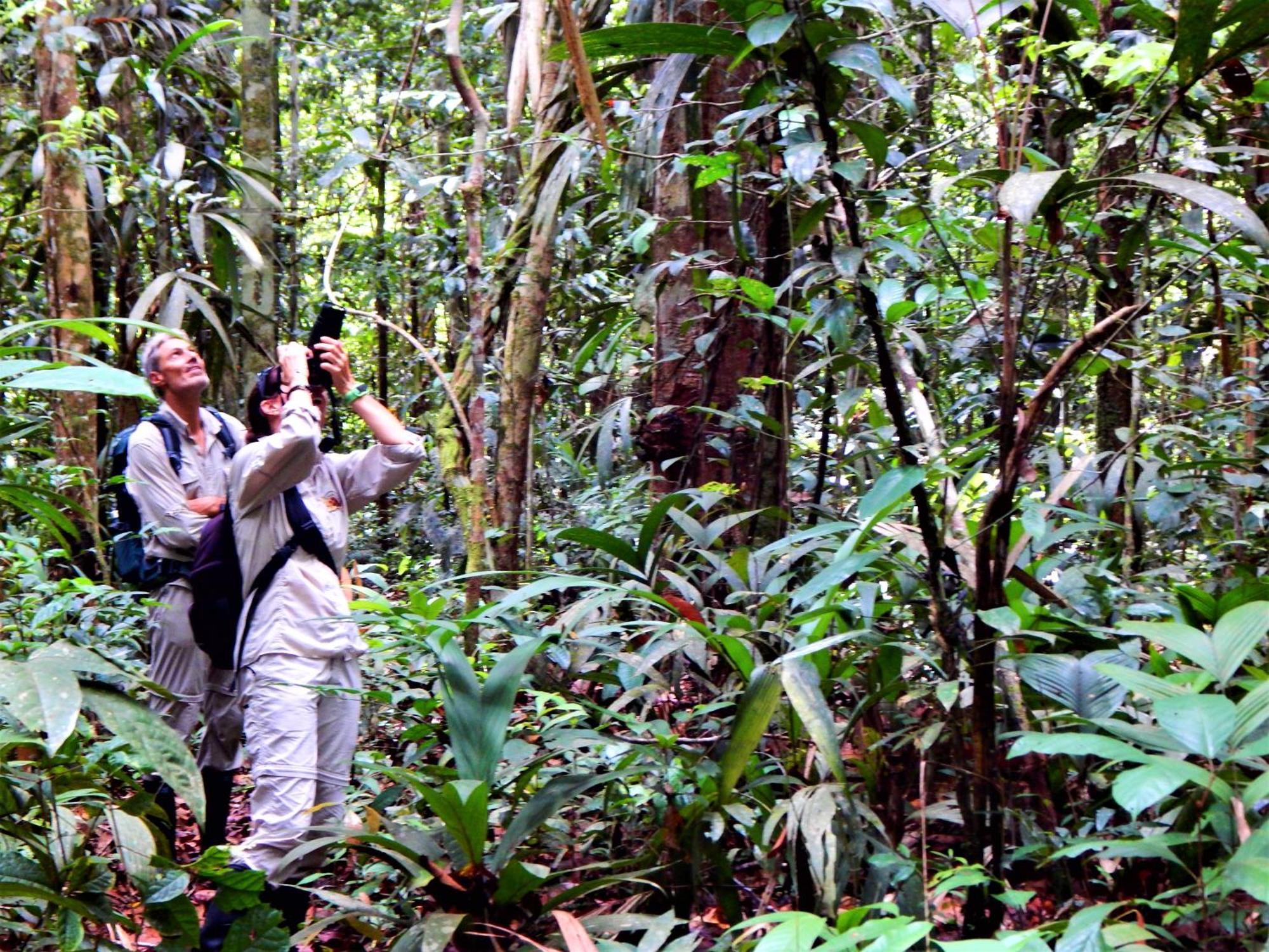 Amazon Acai Lodge Leticia Ngoại thất bức ảnh
