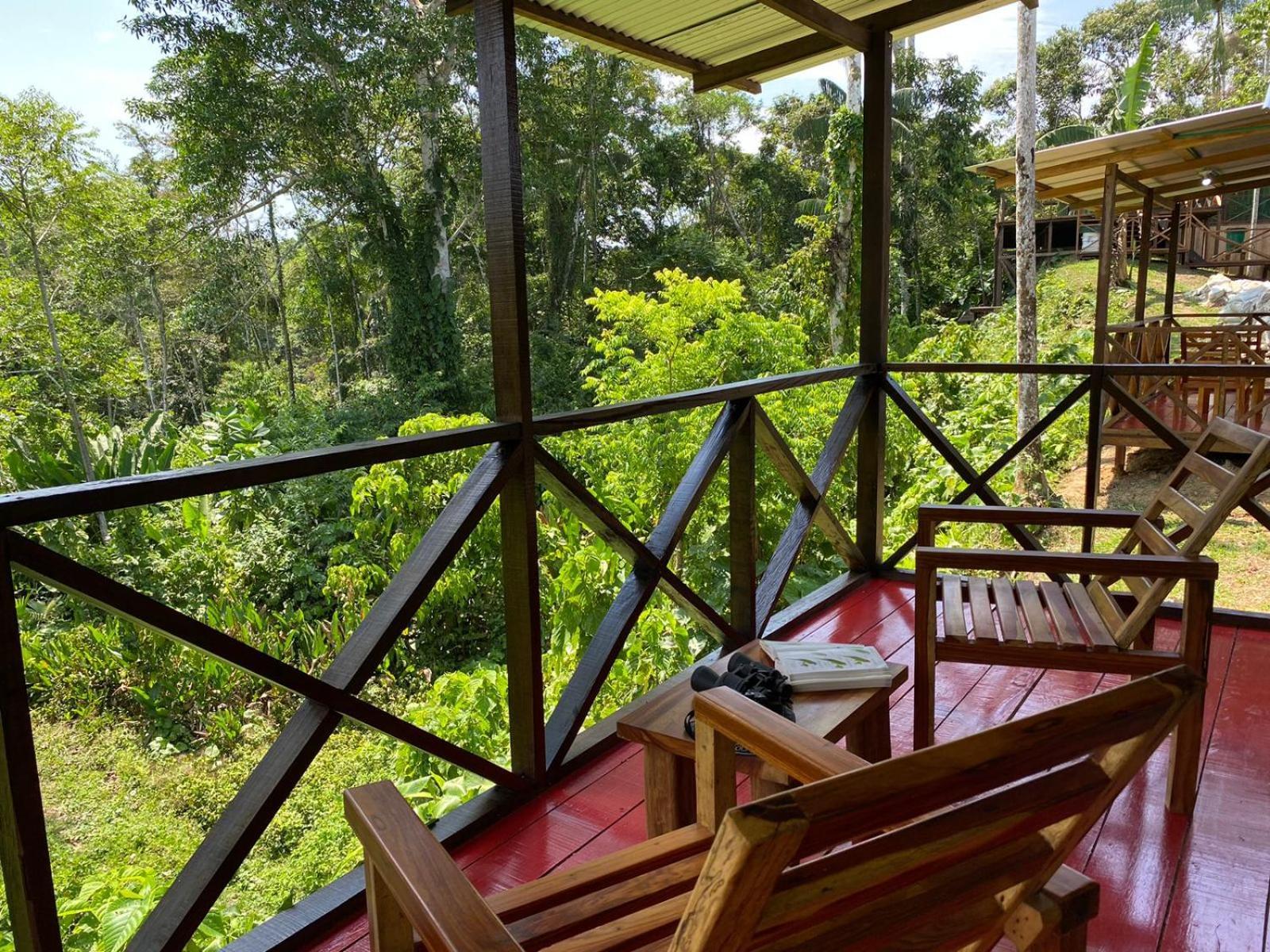 Amazon Acai Lodge Leticia Ngoại thất bức ảnh