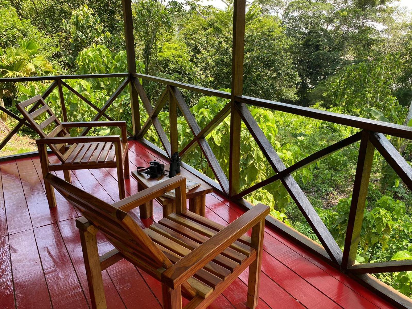 Amazon Acai Lodge Leticia Ngoại thất bức ảnh