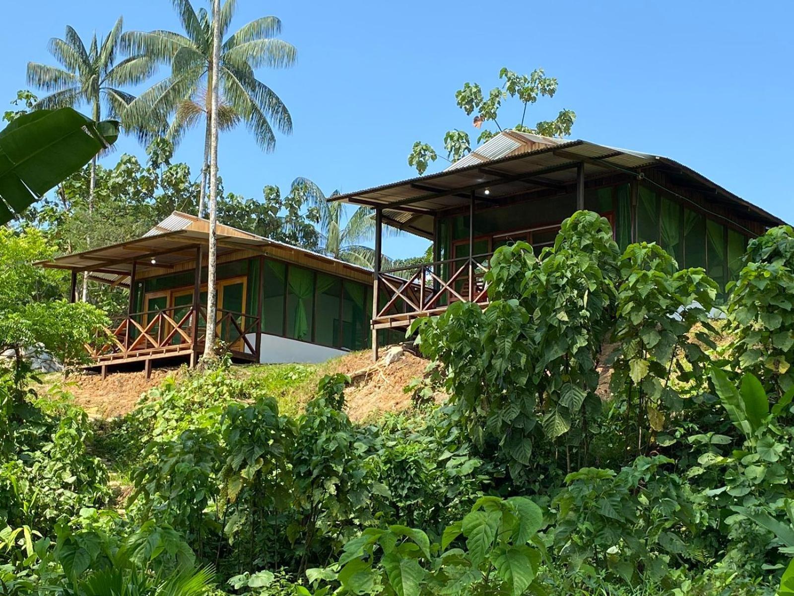 Amazon Acai Lodge Leticia Ngoại thất bức ảnh