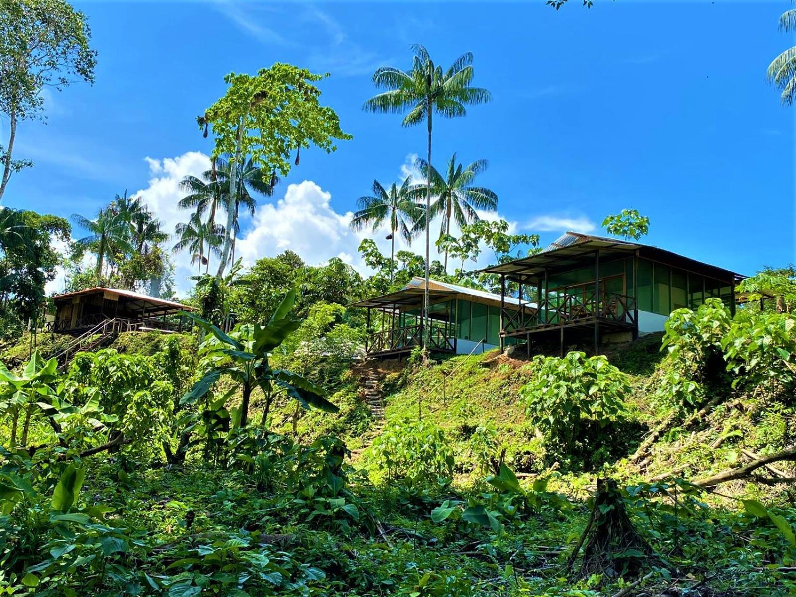 Amazon Acai Lodge Leticia Ngoại thất bức ảnh