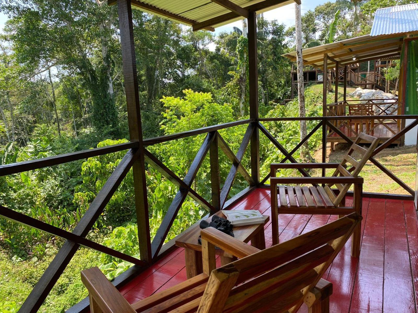 Amazon Acai Lodge Leticia Ngoại thất bức ảnh